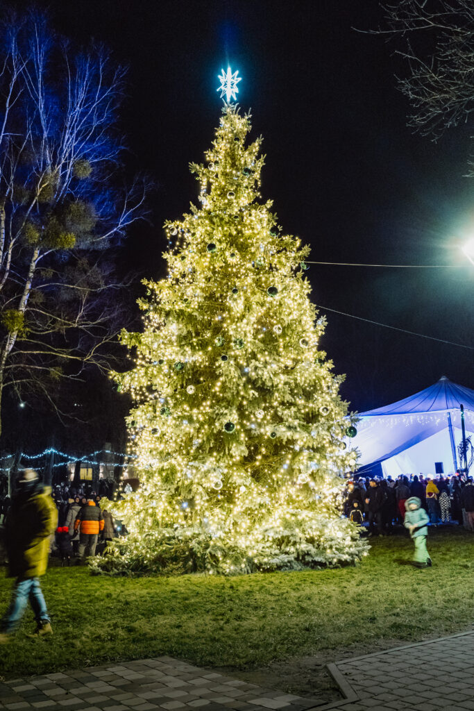 Vilkijos miesto eglė įžiebta