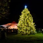 Vilkijoje įžiebta miesto Kalėdų eglė