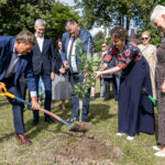 Ąžuoliuko sodinimas